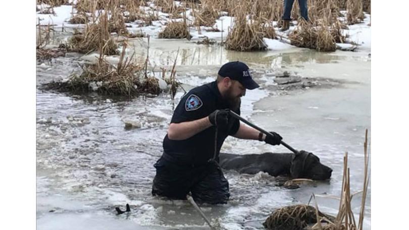 Rice Lake Police Officer rescues a female dog named Lucy Rice Lake Police Officer rescues a female dog named Lucy