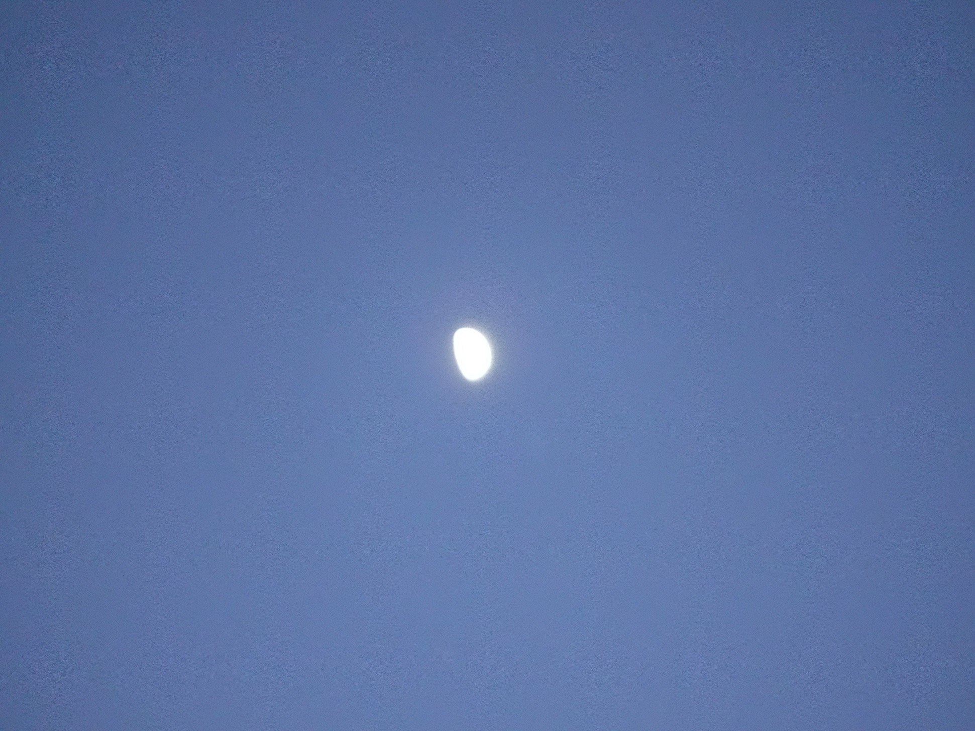 Photo taken by me 12-27-17 Photo taken by me 12-27-17