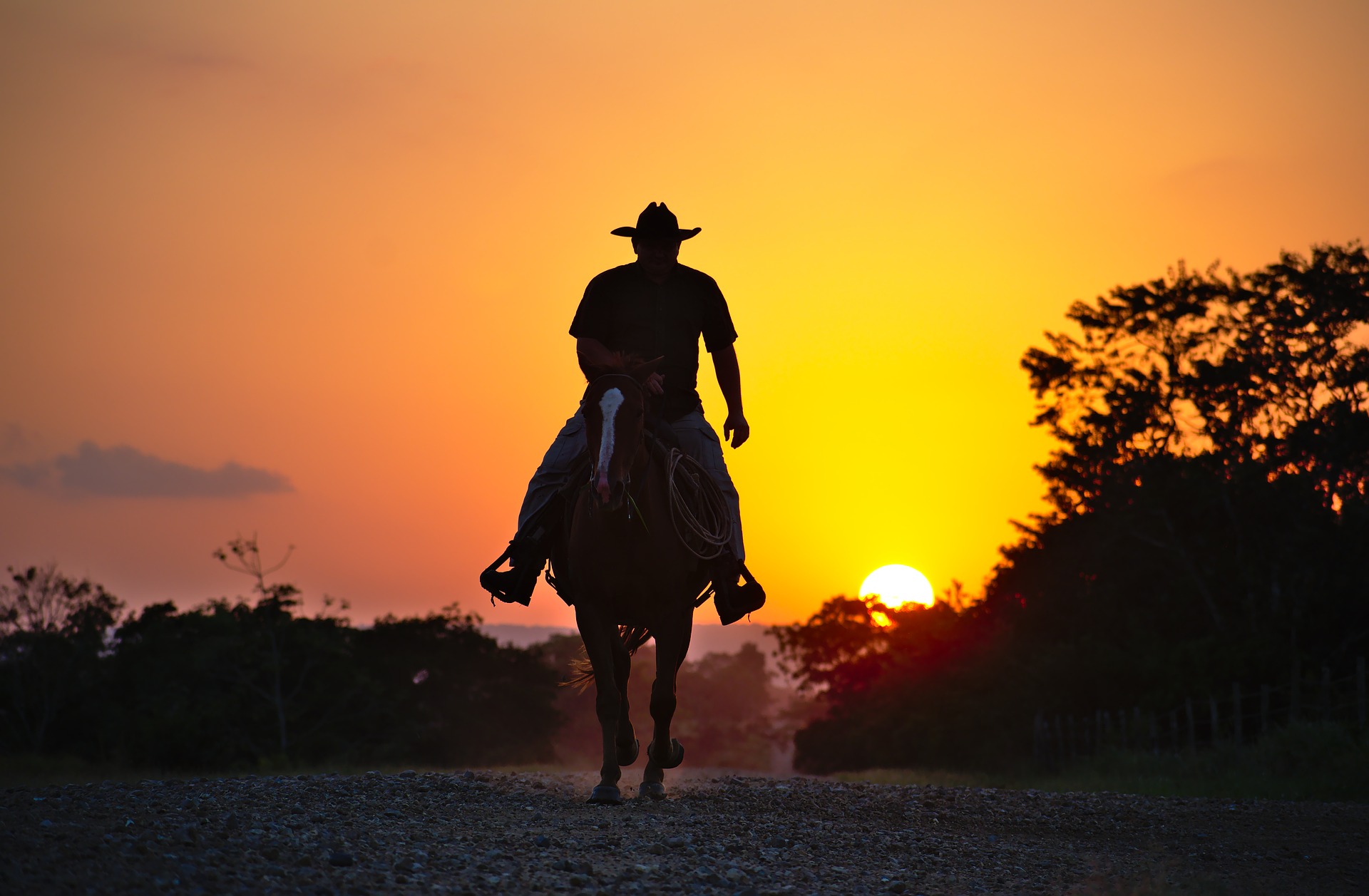 https://pixabay.com/en/horse-cowboy-silhouette-summer-3258001/ https://pixabay.com/en/horse-cowboy-silhouette-summer-3258001/