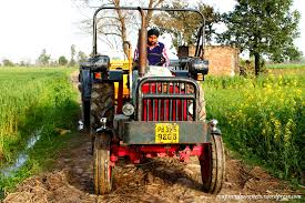 Punjab farmer. Punjab farmer.