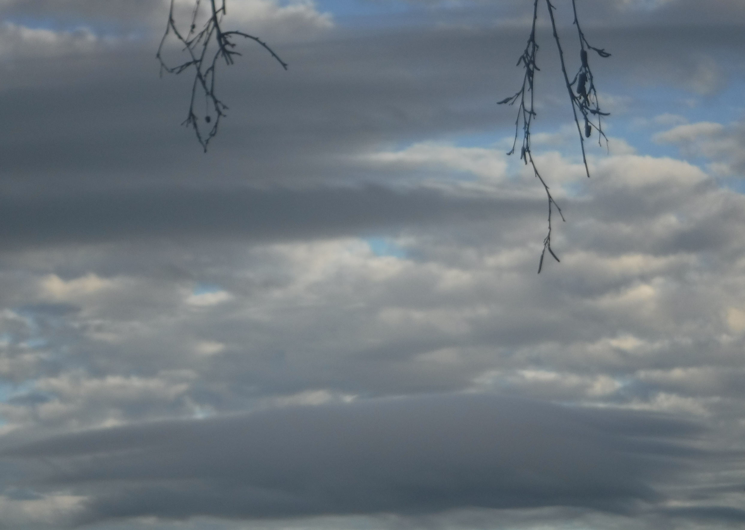 Photo taken by me 3-8-18