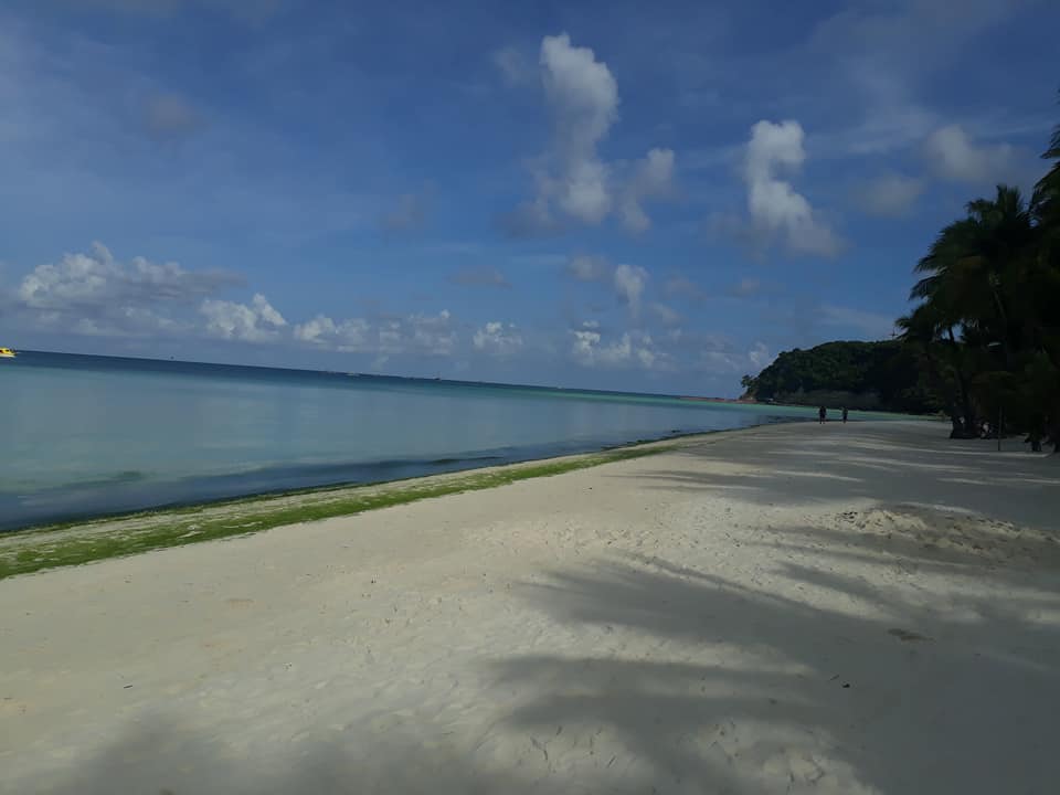photo is mine