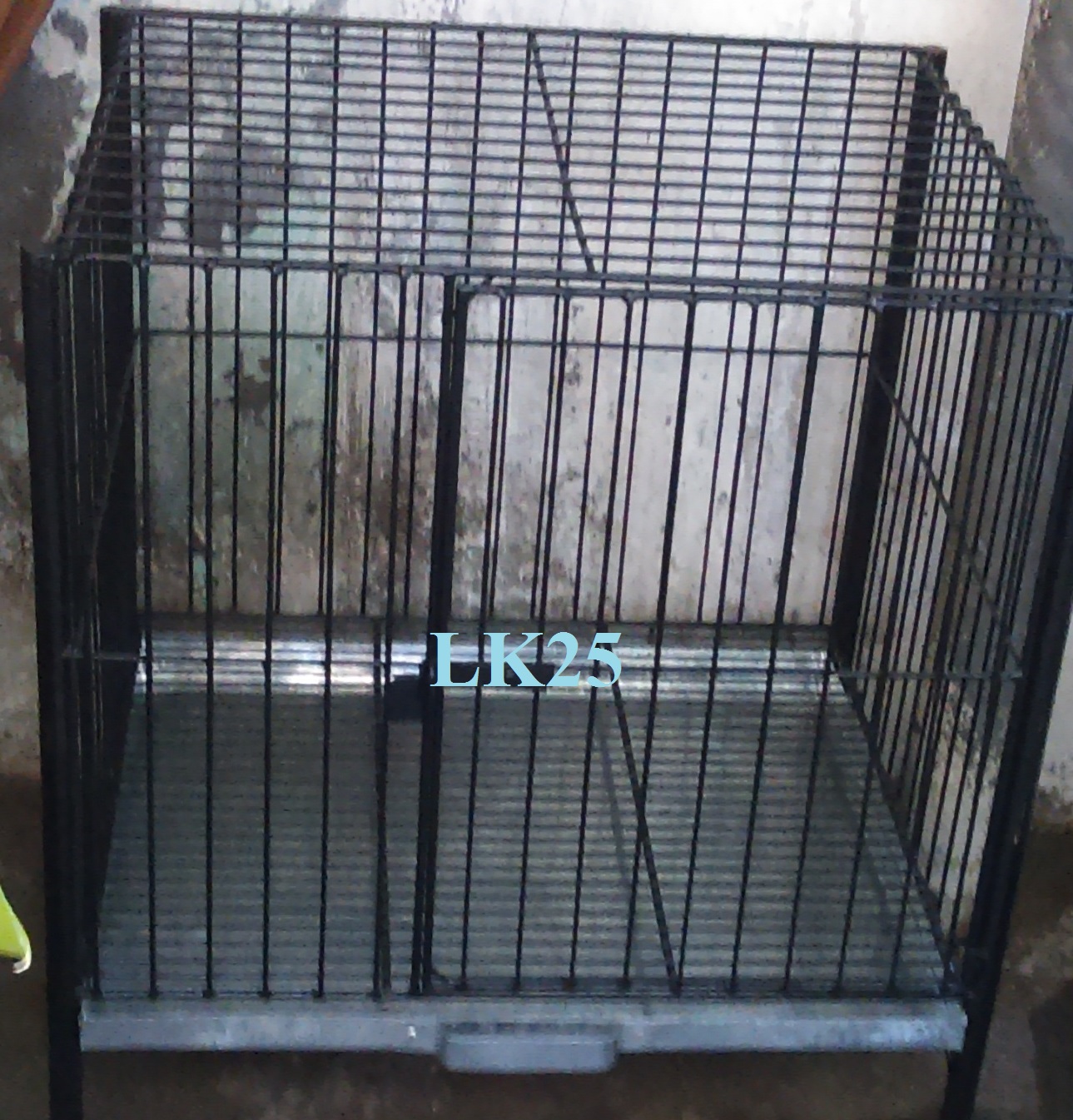 Cage, Dog 