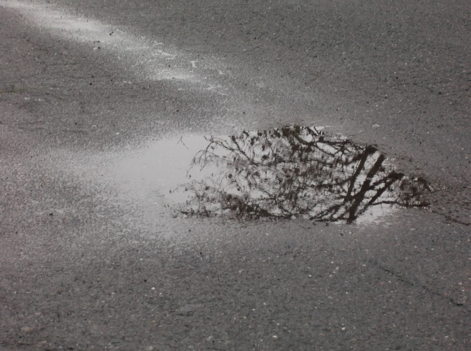 Photo taken by me Photo taken by me