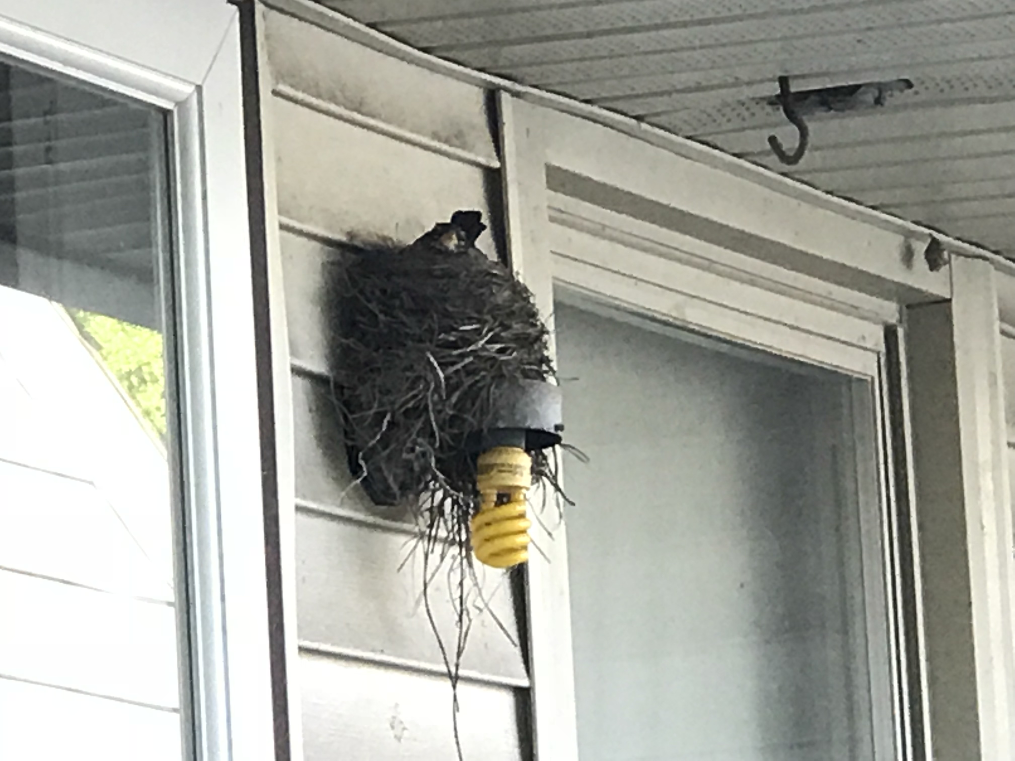New tenants.  Photo taken by and the property of FourWalls.