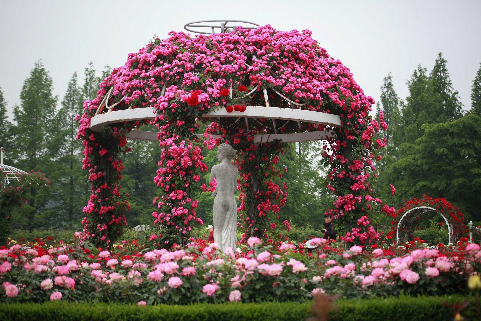 https://pixabay.com/en/flowers-garden-nature-plants-3299988/ https://pixabay.com/en/flowers-garden-nature-plants-3299988/