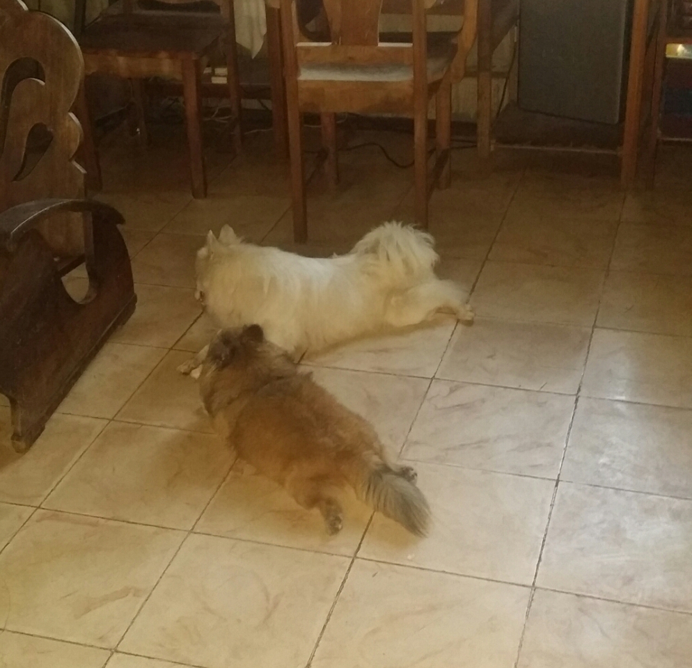 Macy and sydney 
