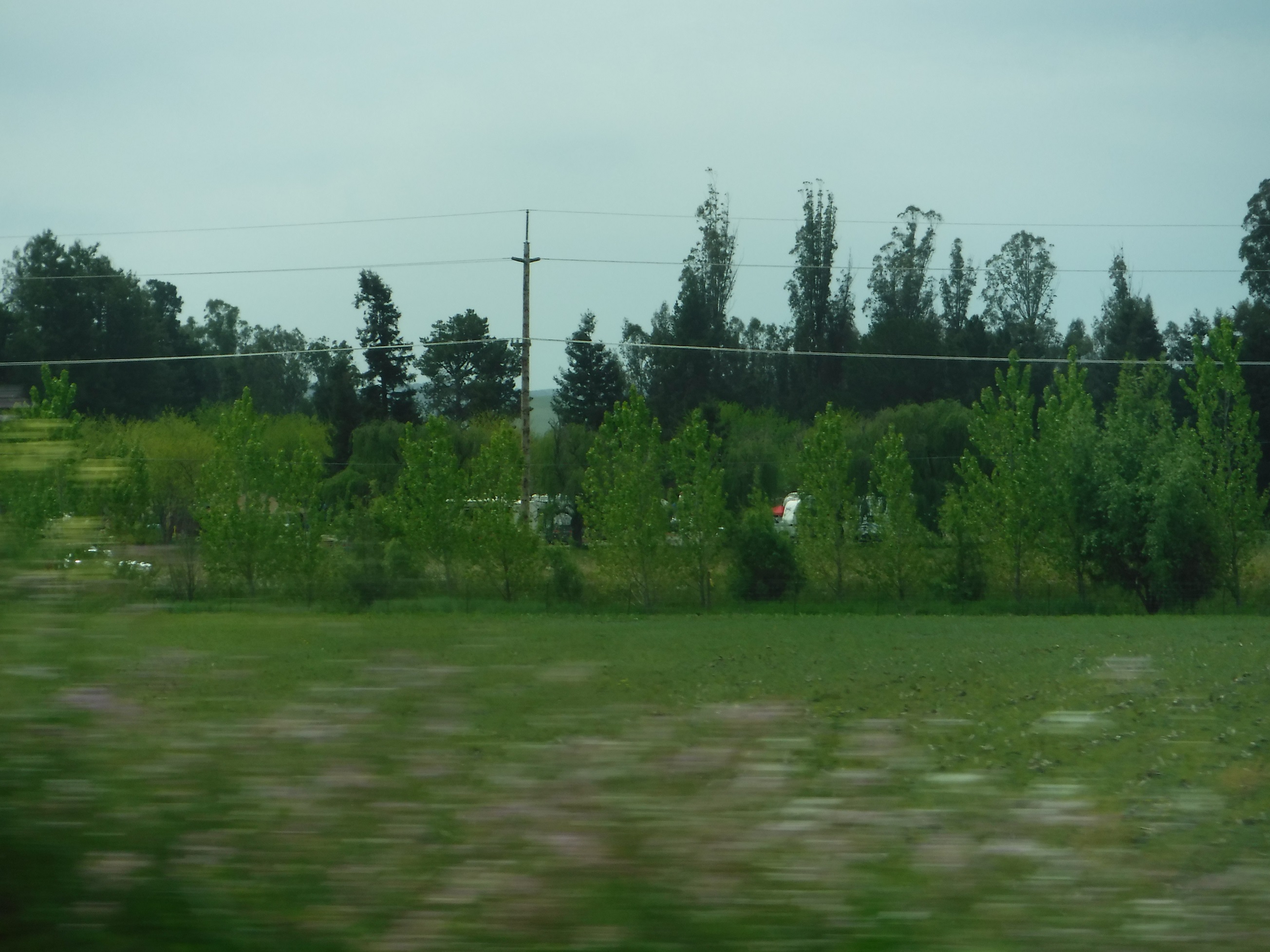 Photo taken by me on ride home from my eye appointment Photo taken by me on ride home from my eye appointment