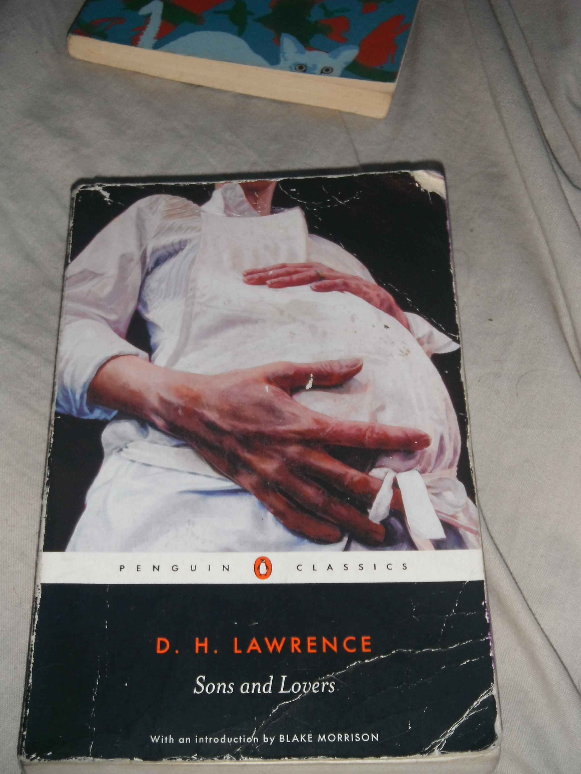Photo taken by me – D H Lawrence’s Sons And Lovers book cover Photo taken by me – D H Lawrence’s Sons And Lovers book cover