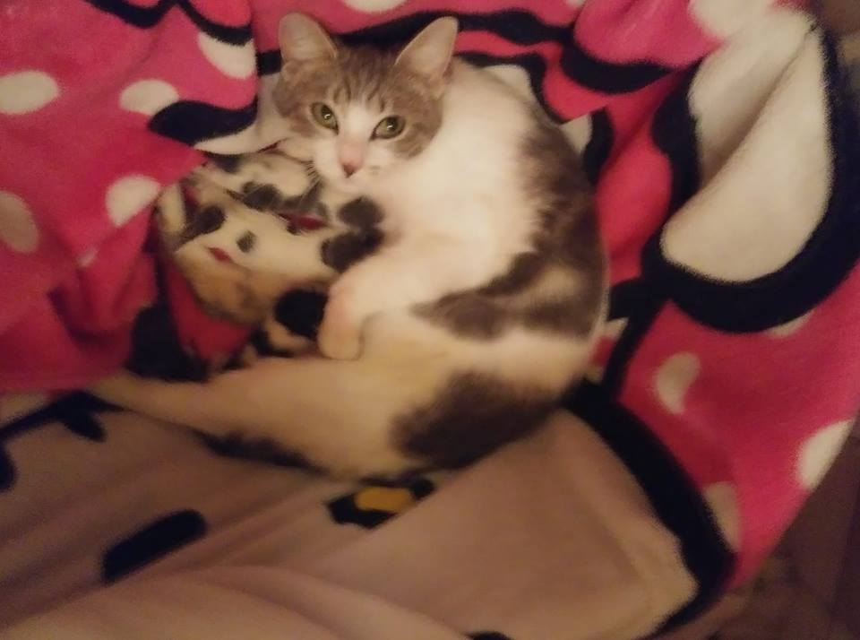 New mom Tifa, a few hours afte giving birth