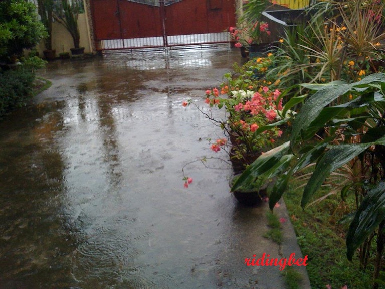 garage rain