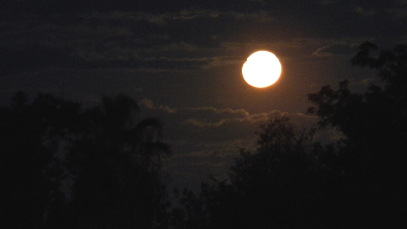 The Sleepless Moon The Sleepless Moon