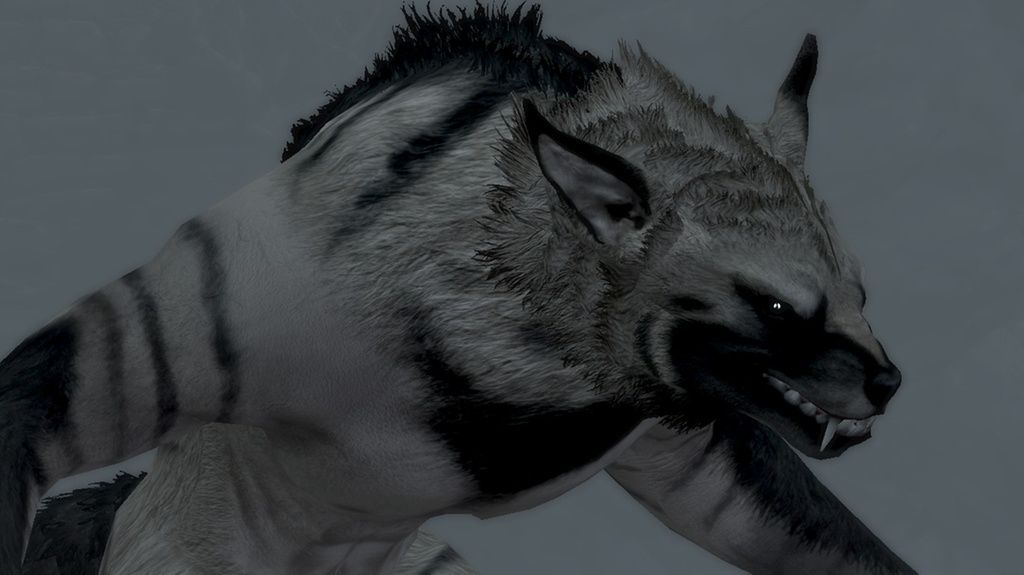 My Werewolf in Skyrim!