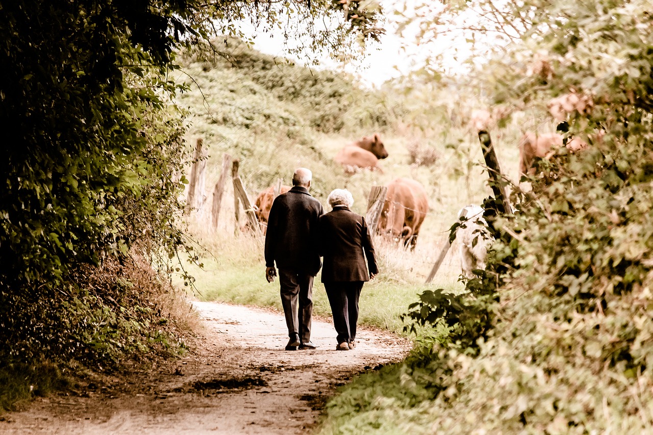 https://pixabay.com/en/pair-seniors-pensioners-age-2914879/