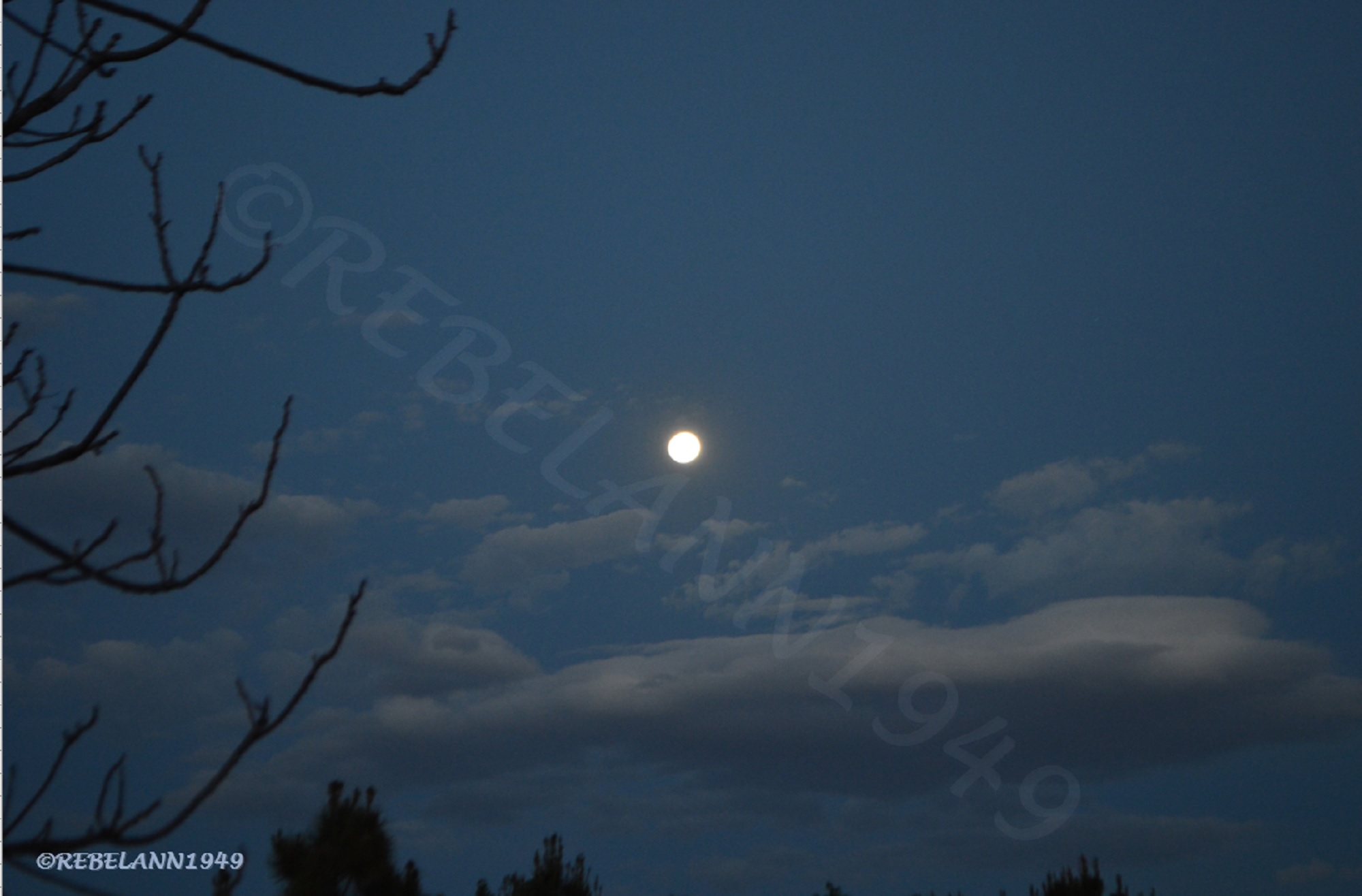 End of April full moon, yepper, I took this.