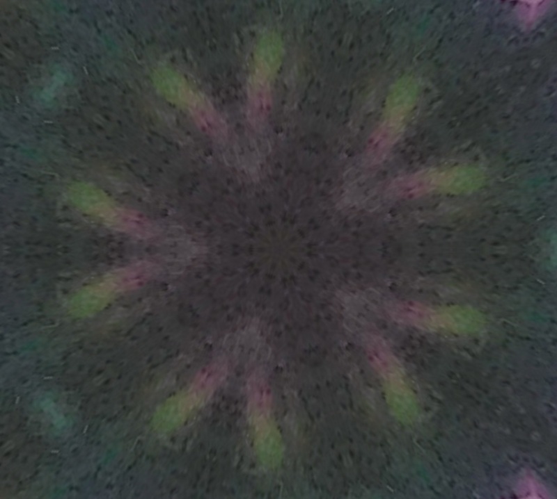 Photo taken and cropped by me w Kaleidescope x5 on LunaPic.com Photo taken and cropped by me w Kaleidescope x5 on LunaPic.com