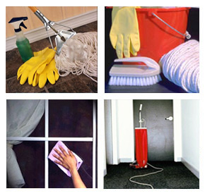 Photo from Google Image Search Photo from Google Image Search