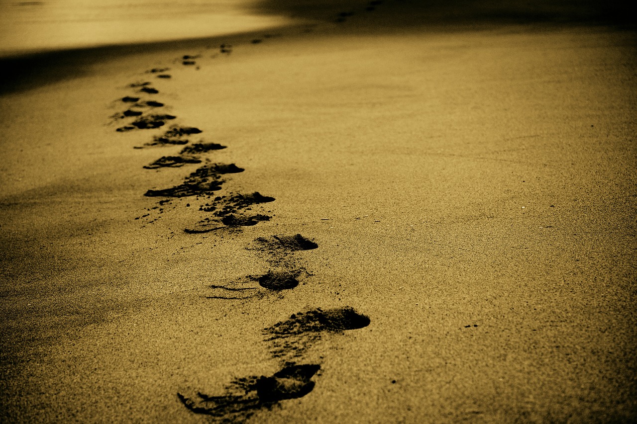 Image Credit: Pixabay Free to use Even Commercially