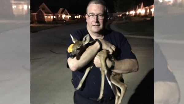 Hamilton Township Firefighter with a fawn that he saved