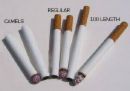 types of cig&#039;s - different types of cigarettes, long and short, filtered and non-filtered