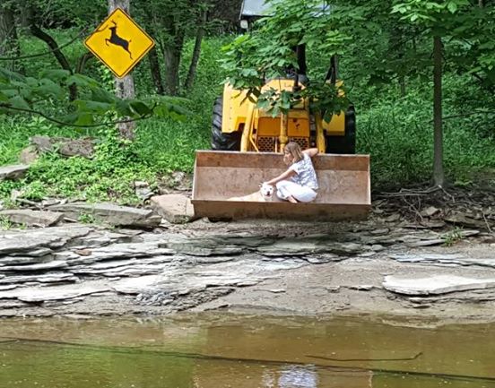 A farmer plays the role of rescuer of a dog that wandered into a ravine. A farmer plays the role of rescuer of a dog that wandered into a ravine.