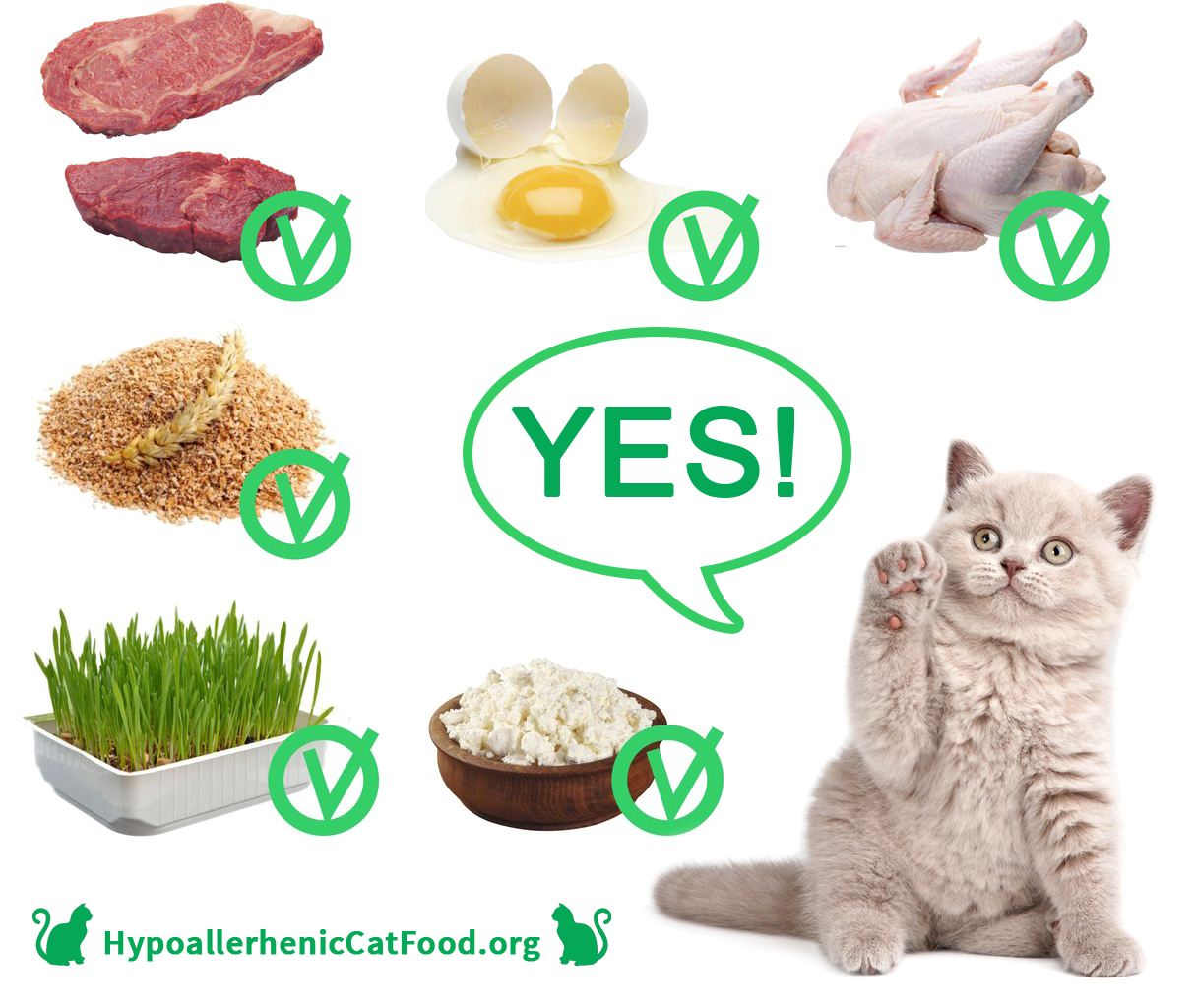 http://www.wildcatfoundation.us/the-10-common-stereotypes-when-it-comes-to-what-can-you-feed-cats-other-than-cat-food-what-can-you-feed-cats-other-than-cat-food/ http://www.wildcatfoundation.us/the-10-common-stereotypes-when-it-comes-to-what-can-you-feed-cats-other-than-cat-food-what-can-you-feed-cats-other-than-cat-food/