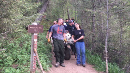 Evergreen Fire And Rescue on the job to assist an animal that was tired Evergreen Fire And Rescue on the job to assist an animal that was tired