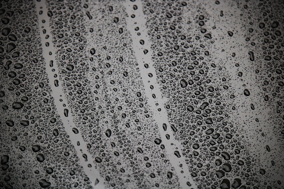 https://pixabay.com/en/drip-wet-drop-of-water-rain-water-2806027/