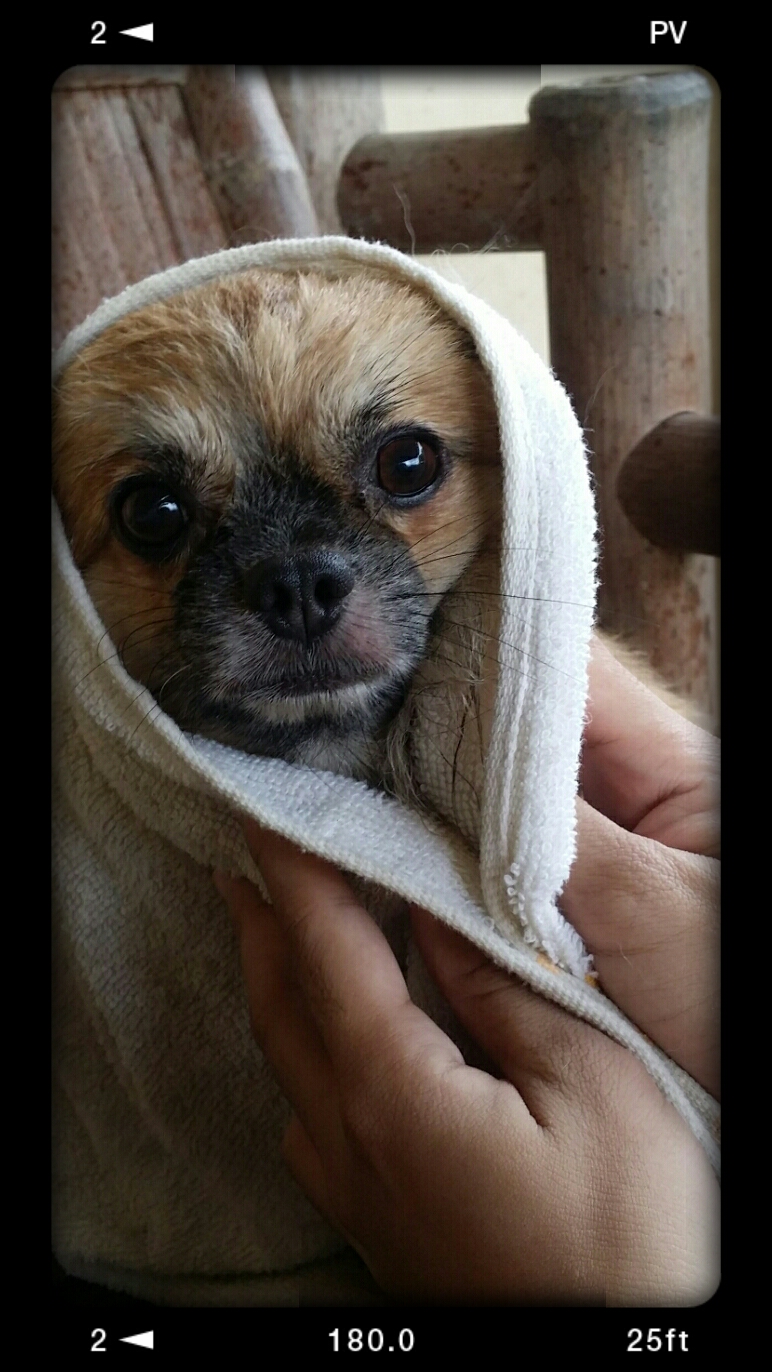 Sydney as ET Sydney as ET