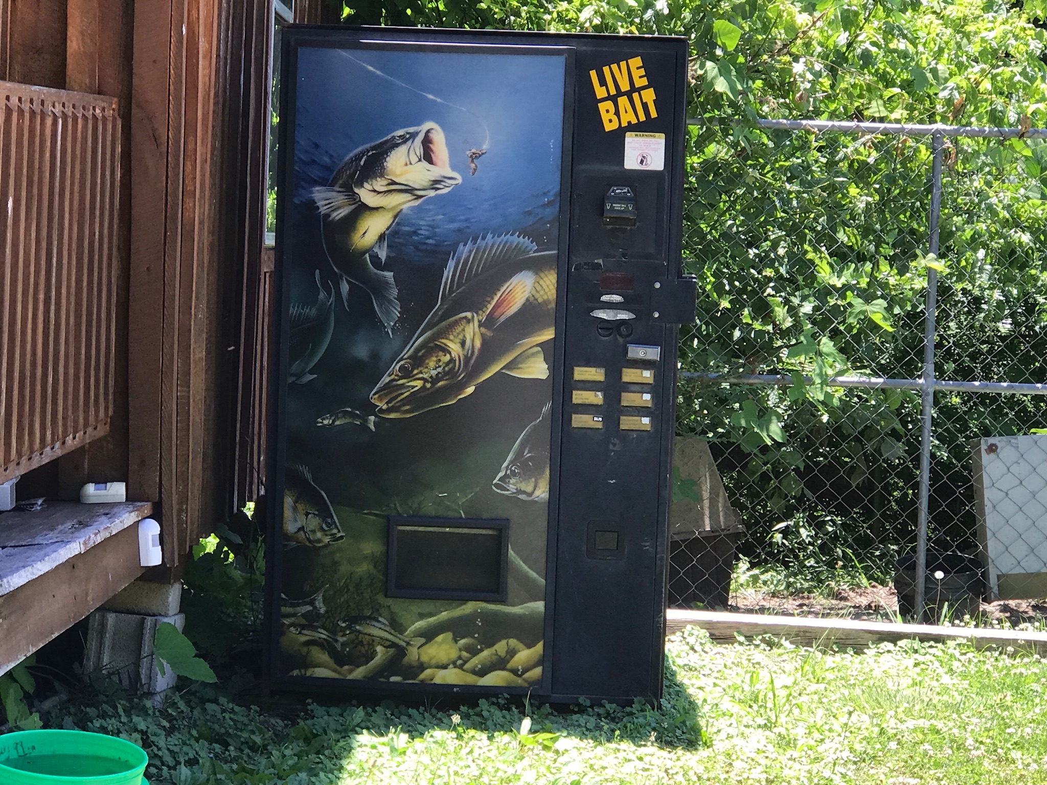 A live bait vending machine in Hyden, Kentucky.  Photo taken by and the property of FourWalls.