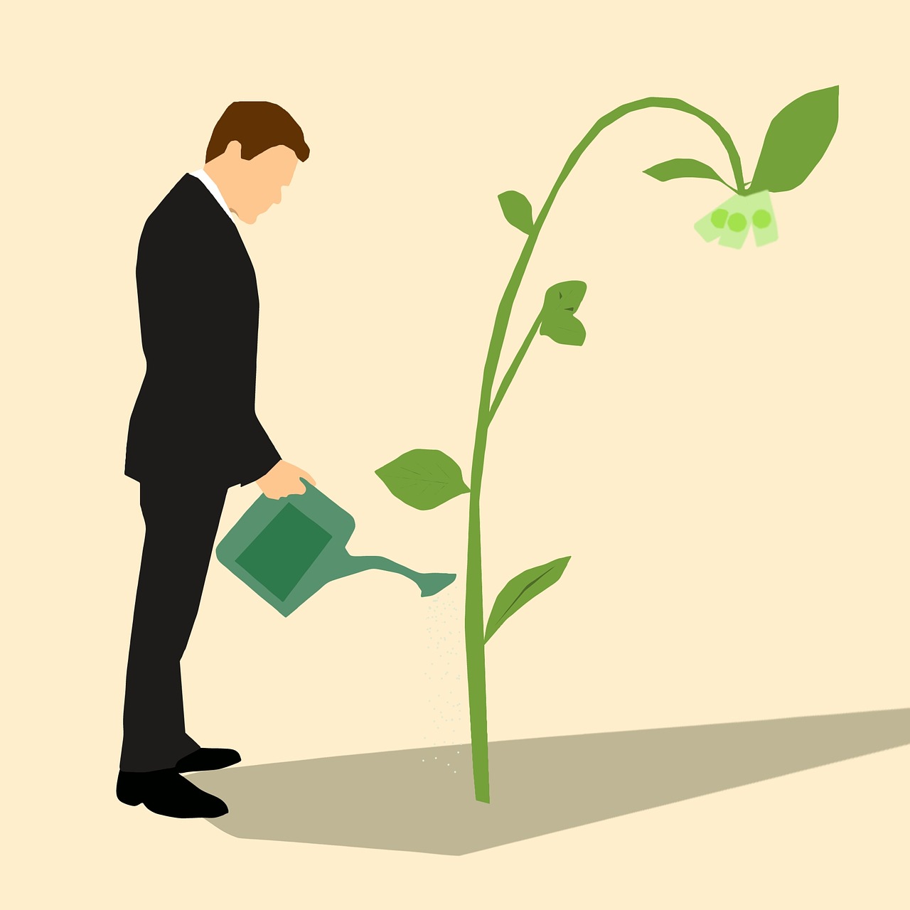 https://pixabay.com/en/businessman-money-plan-t-watering-2875840/ https://pixabay.com/en/businessman-money-plan-t-watering-2875840/