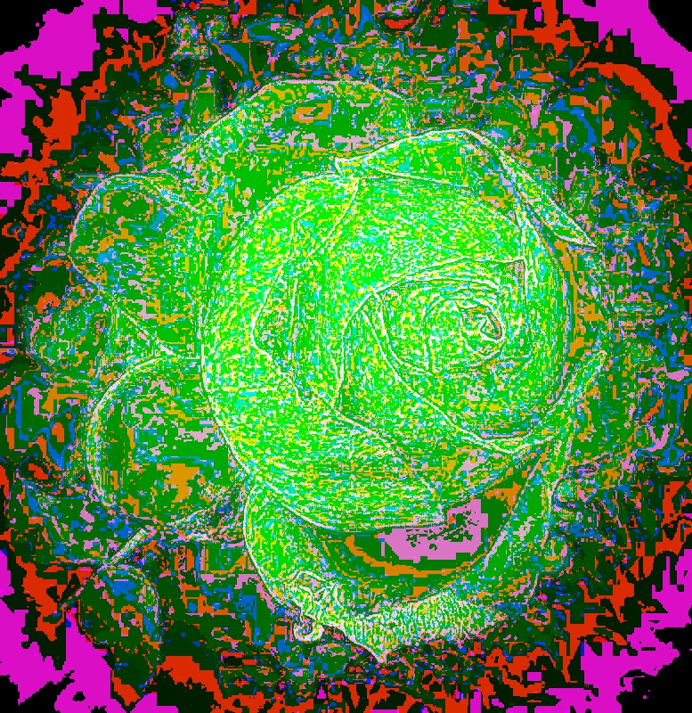 Photo taken by me with Night Vision and equalize effects on LunaPic.com Photo taken by me with Night Vision and equalize effects on LunaPic.com