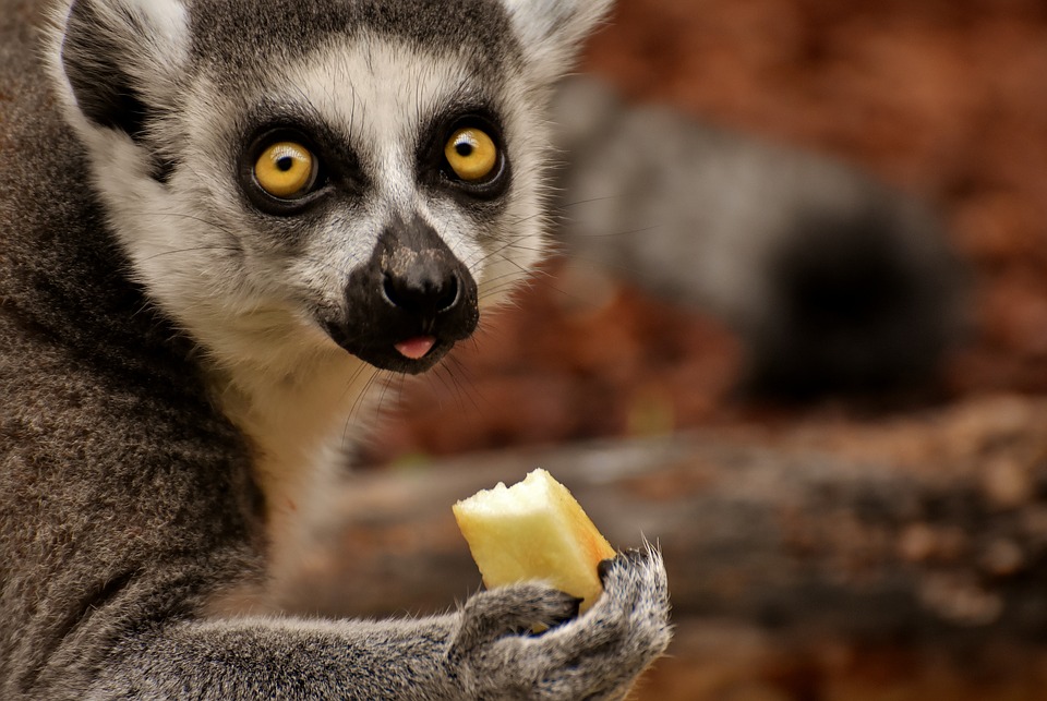 We need to learn to share our cheese with others, not be greedy, and eat it all ourselves