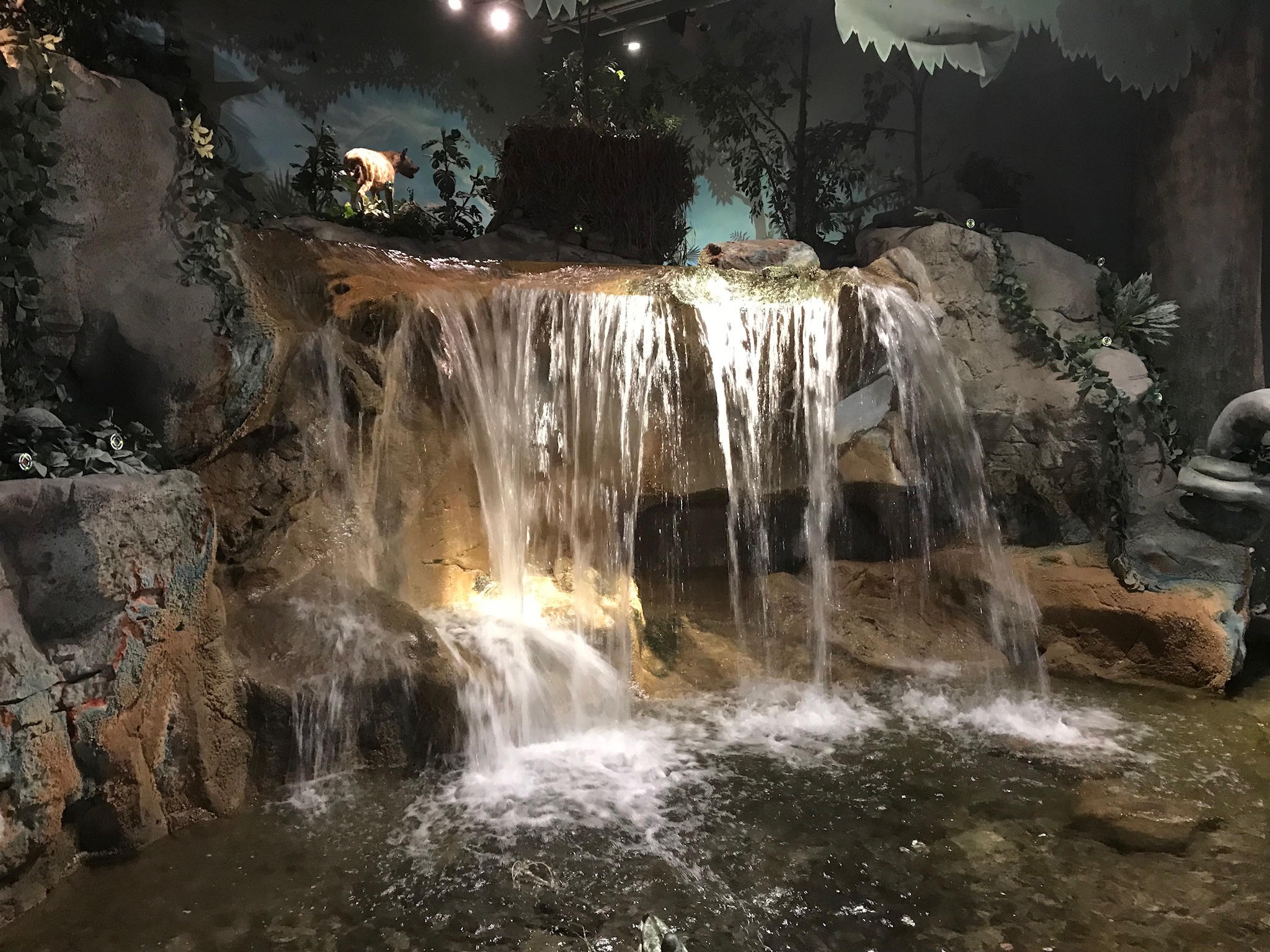 Clarksville, Indiana’s Bass Pro Shop waterfall.  Photo taken by and the property of FourWalls.