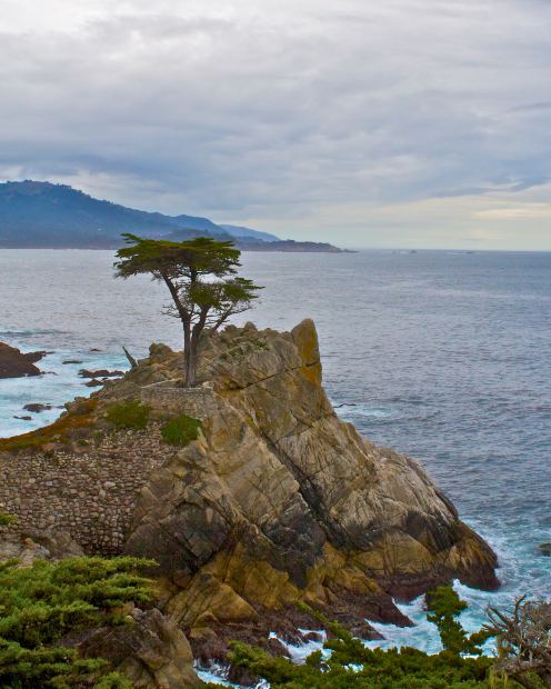 Photo of Central California coast taken by author