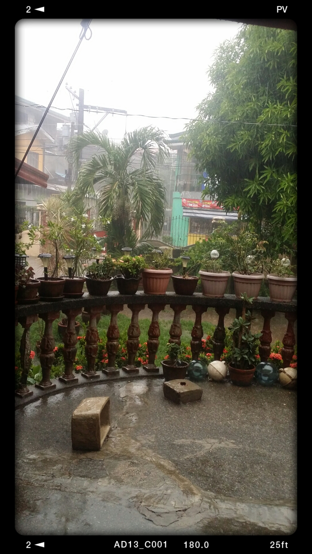 the rain 