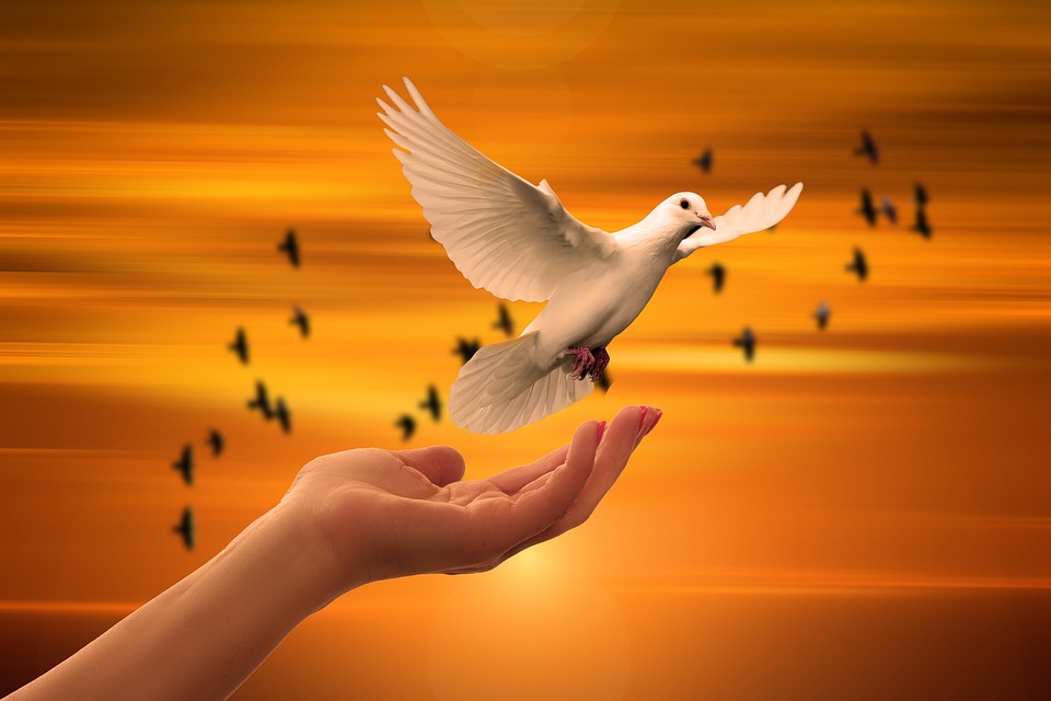 I think that peace should be at the heart of every religion