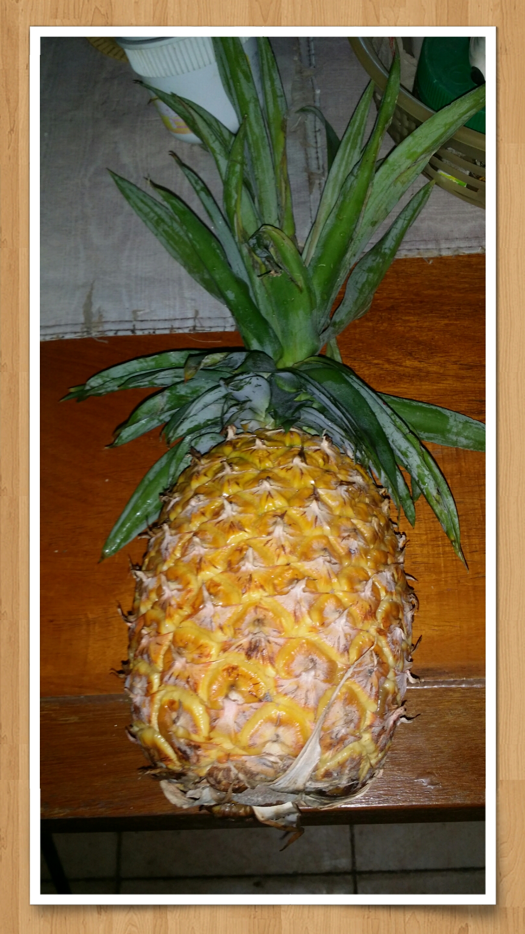 the pineapple the pineapple