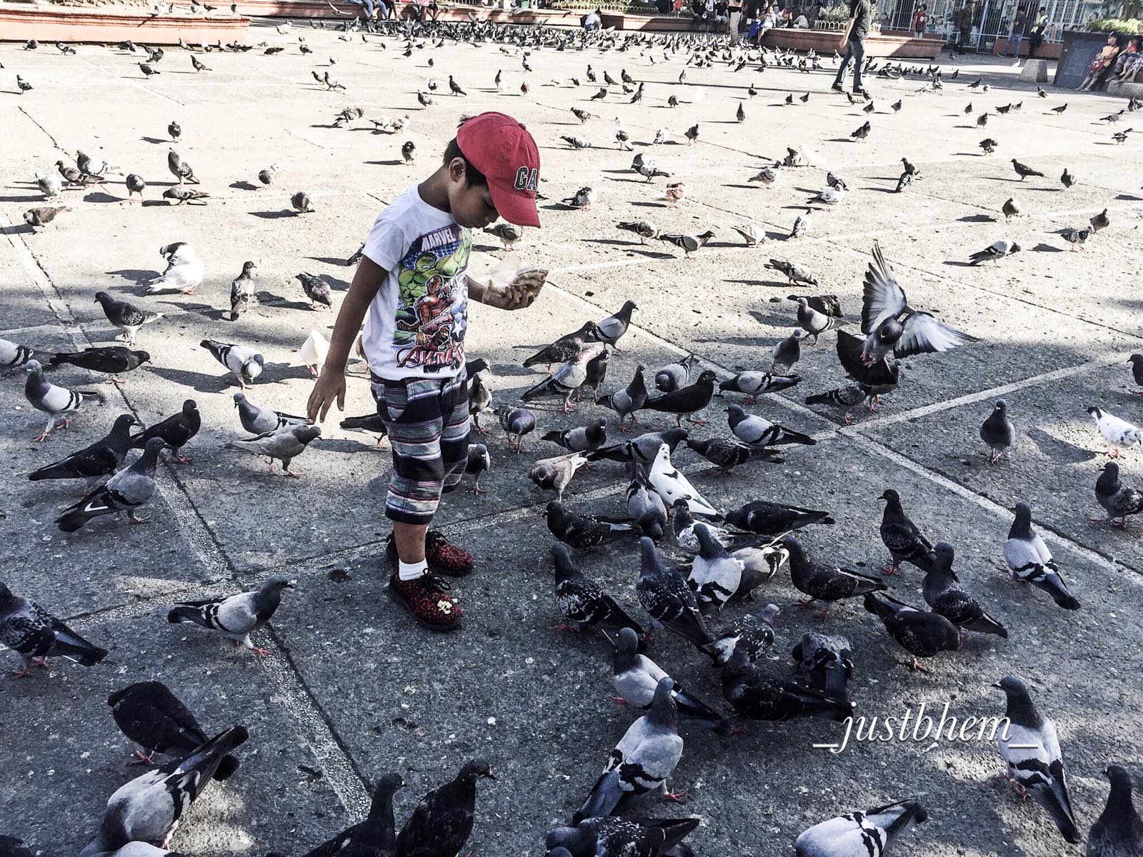 This is my nephew Basty, feeding the doves in the park. This is my nephew Basty, feeding the doves in the park.
