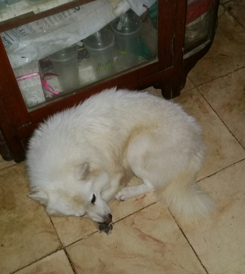 Xander