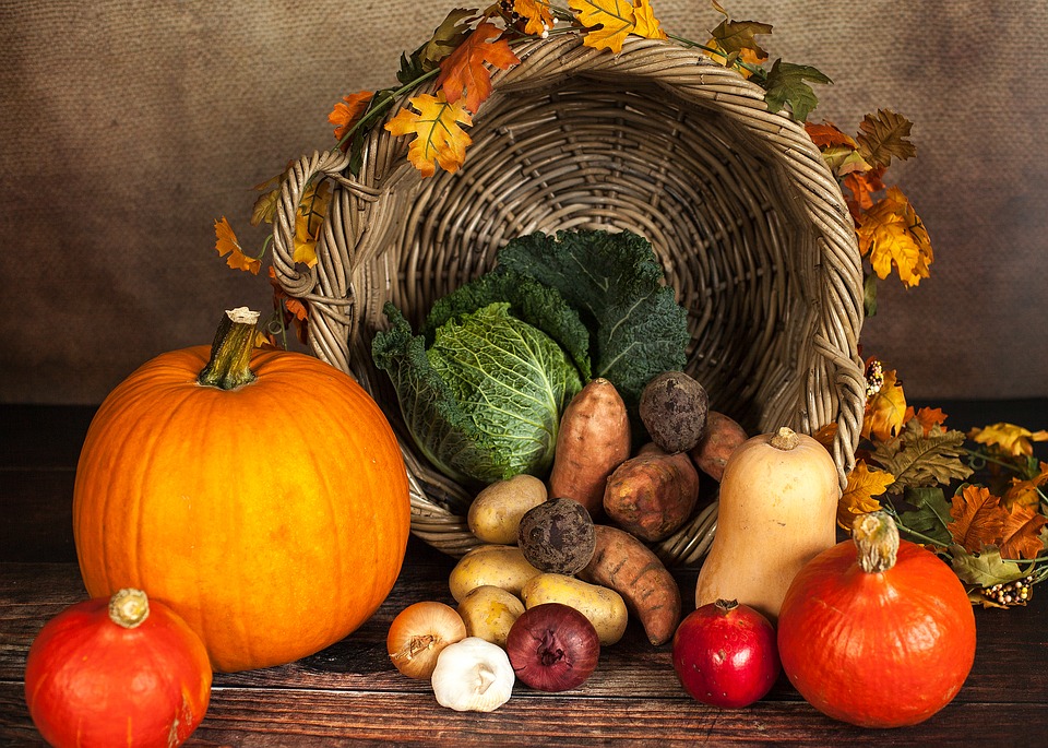https://pixabay.com/en/pumpkin-vegetables-autumn-1768857/ https://pixabay.com/en/pumpkin-vegetables-autumn-1768857/