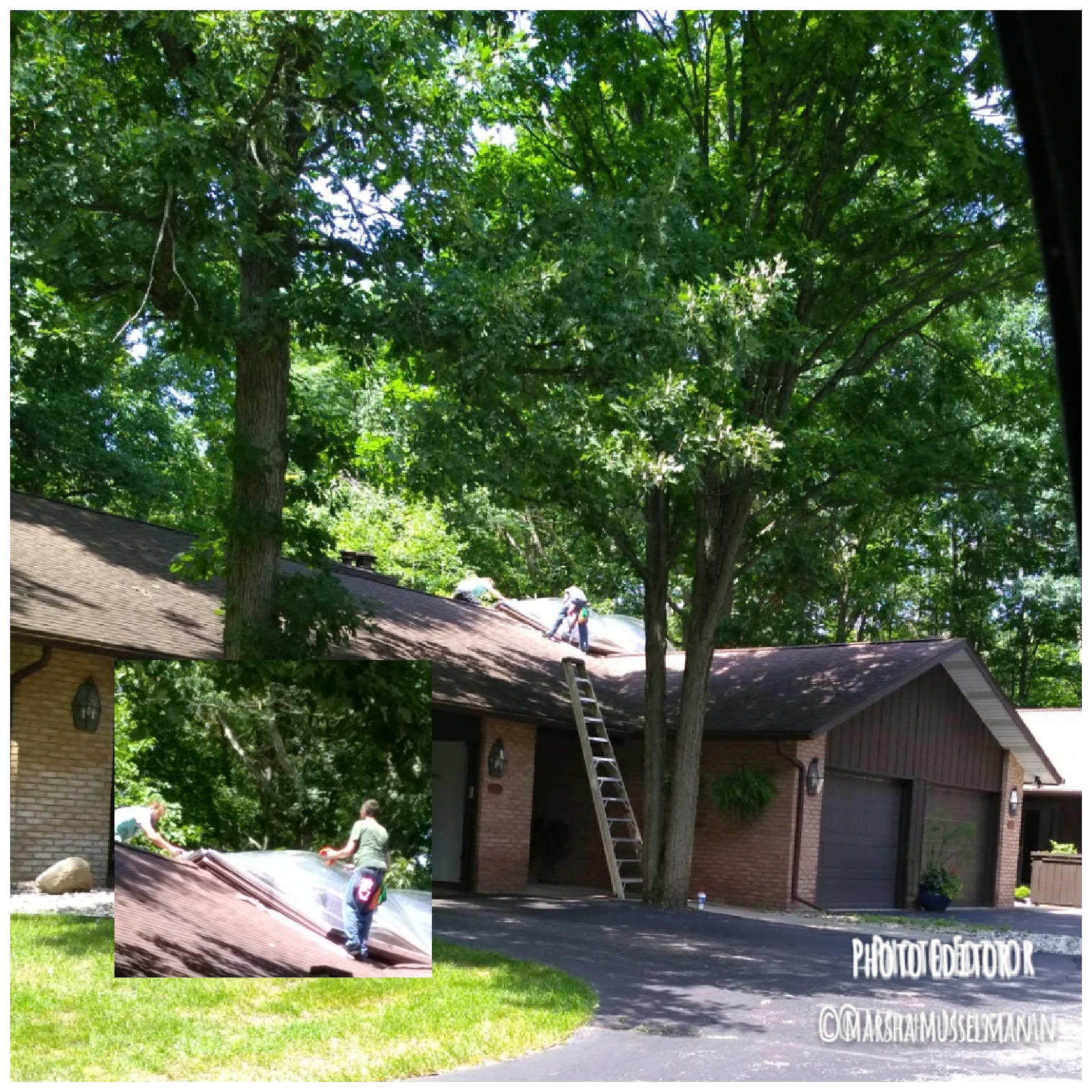 © Marsha Musselman. All Rights Reserved. © Marsha Musselman. All Rights Reserved.
