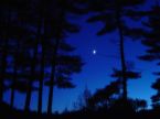 nigh time - night