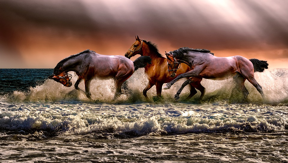Return to snowy river. Image Pixaby