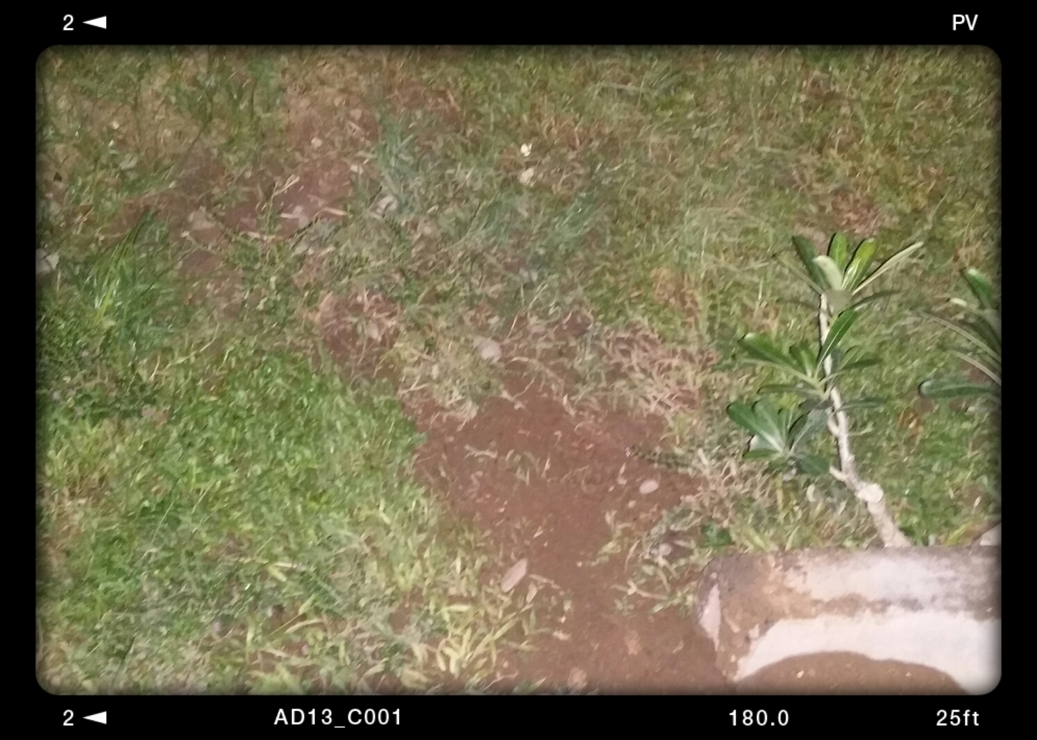 that is the soil where my sister slipped that is the soil where my sister slipped