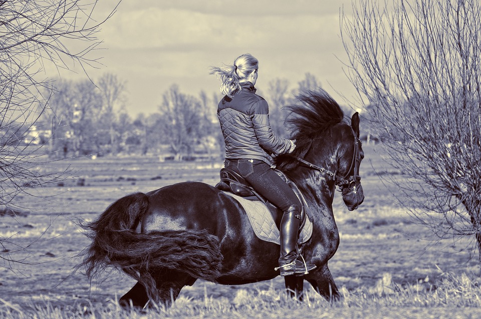 https://pixabay.com/en/horsewoman-rider-horse-riding-3568338/ https://pixabay.com/en/horsewoman-rider-horse-riding-3568338/