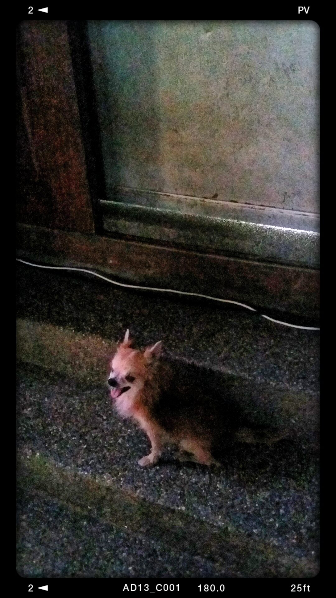 Chibi near the door Chibi near the door