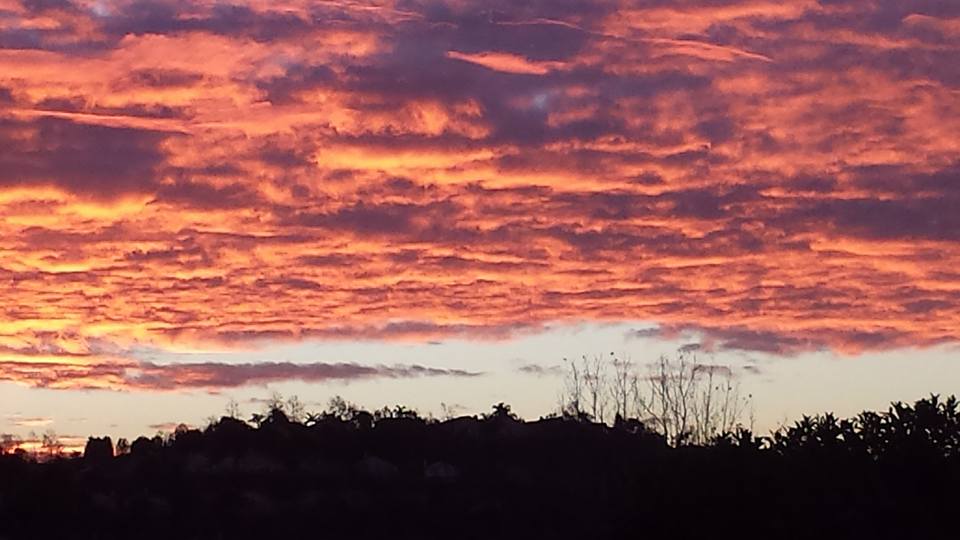 Photo from my home taken by author; all rights reserved.