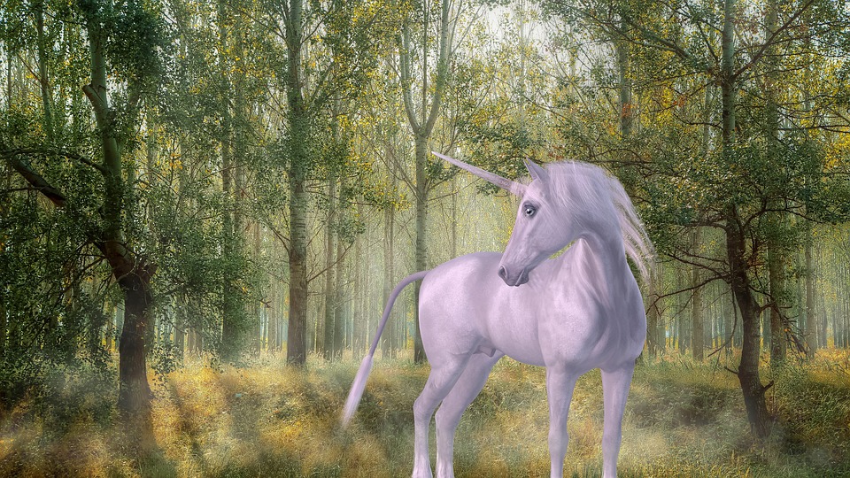 https://pixabay.com/en/unicorn-forest-fairy-tales-mystical-1981219/ https://pixabay.com/en/unicorn-forest-fairy-tales-mystical-1981219/