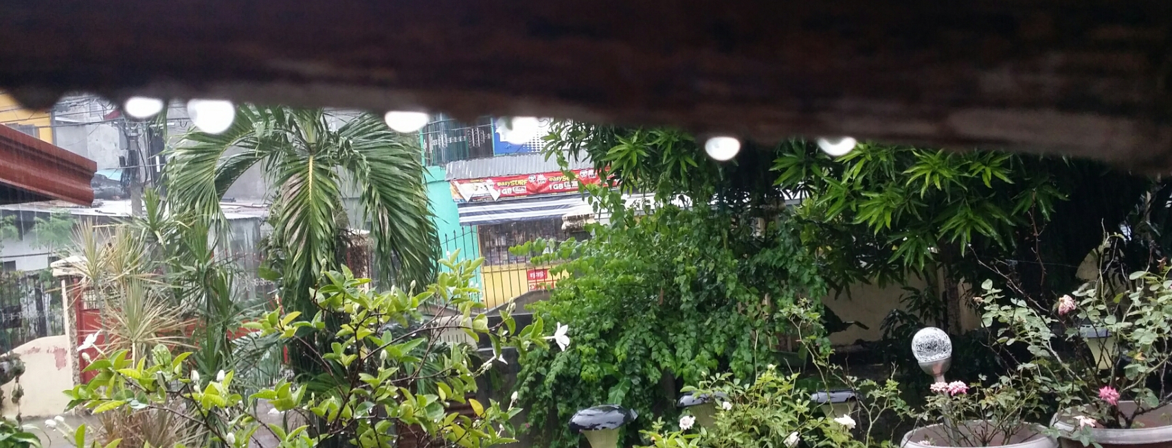 the rain the rain